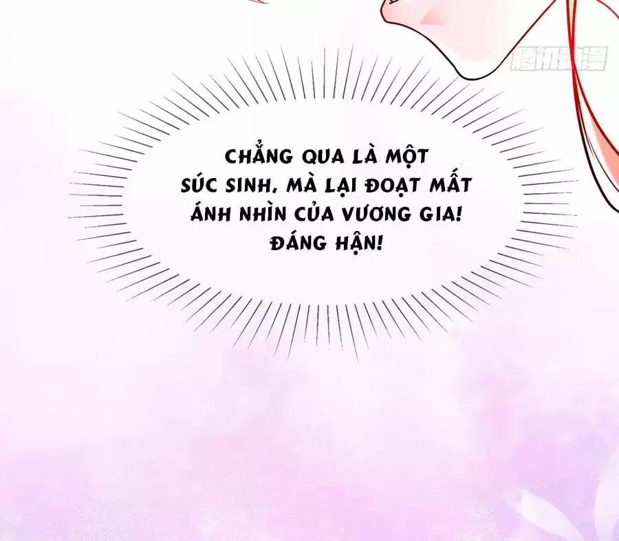 Dưỡng Thú Làm Phi 1 trang 29