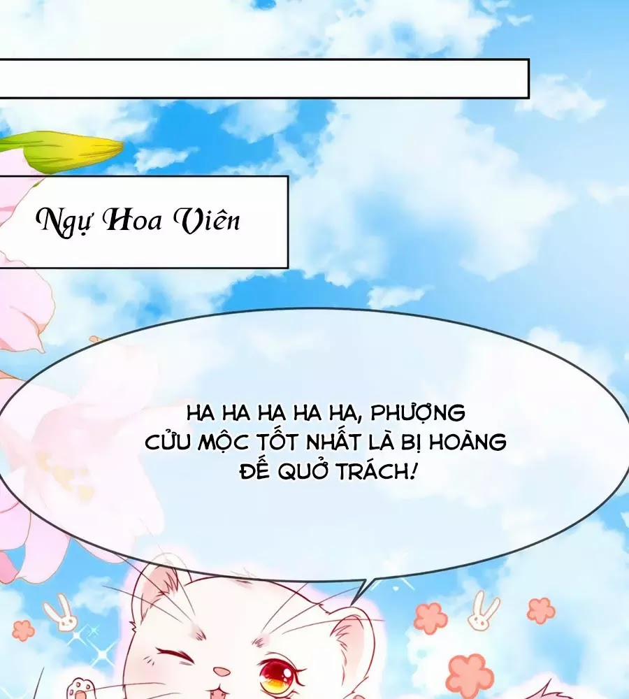 Dưỡng Thú Làm Phi 5 trang 0