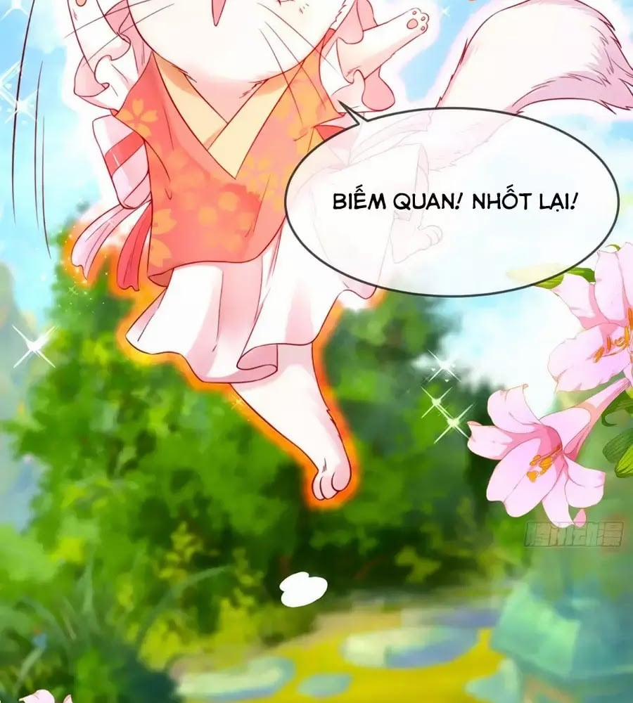 Dưỡng Thú Làm Phi 5 trang 1