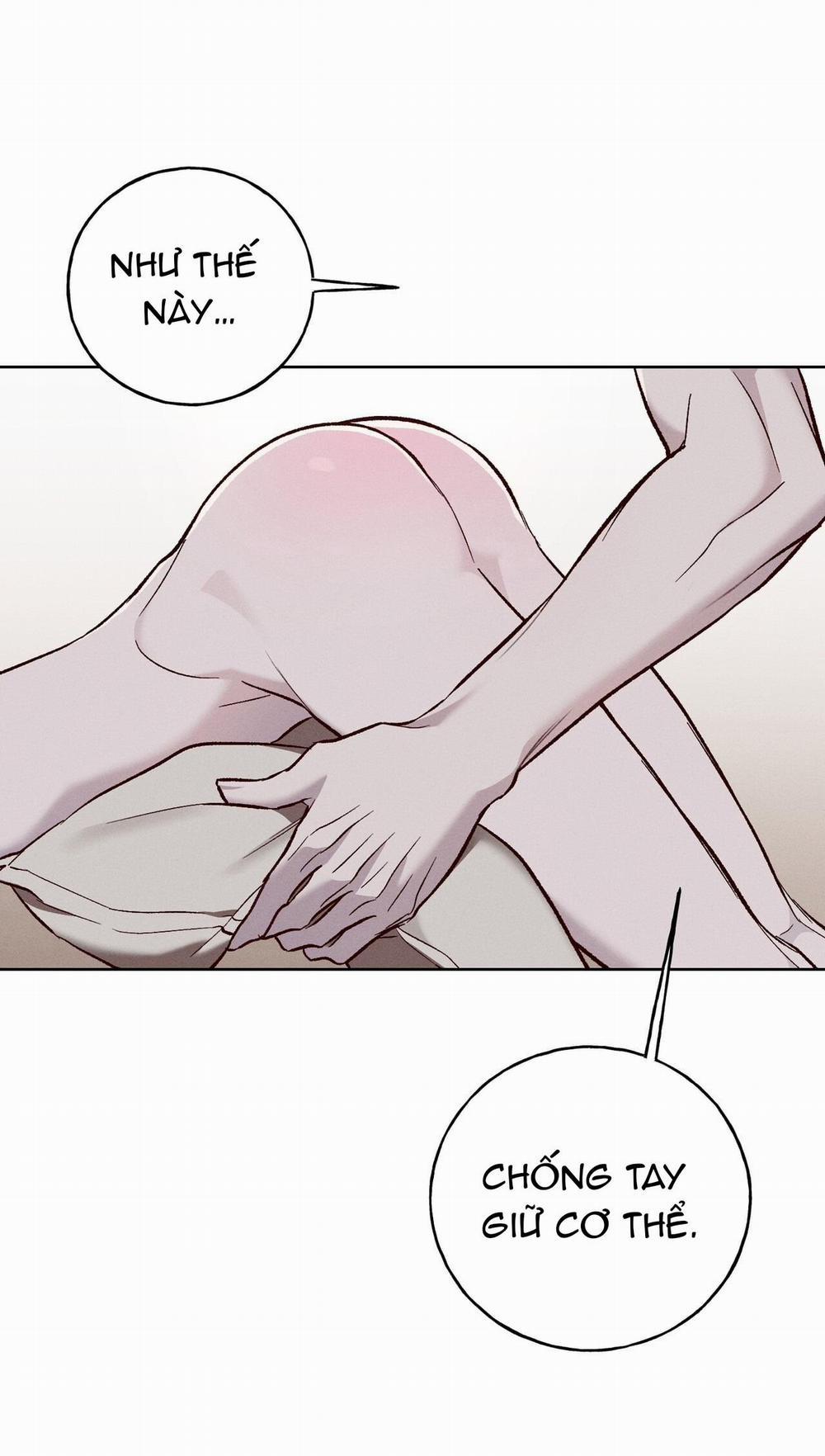 ❋ Ebony Castle ❋ 10 trang 24