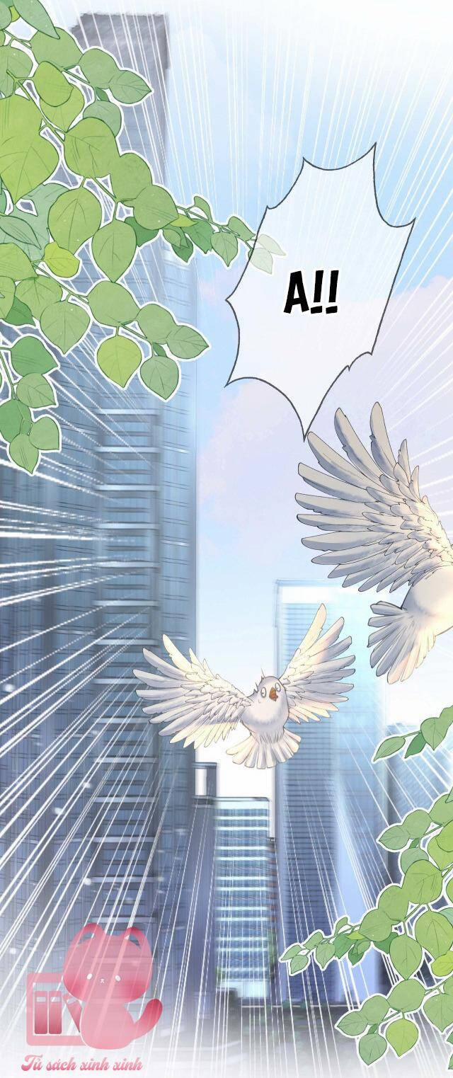 Em Chỉ Có Thể Là Của Tôi 8 trang 12