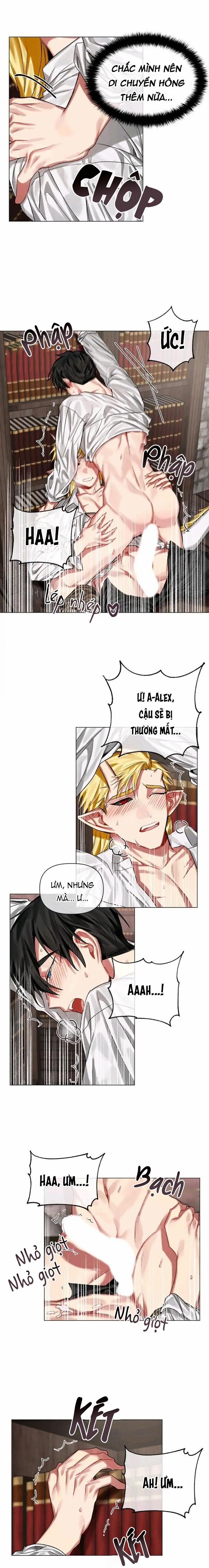 [End] Chàng Hiệp Sĩ Và Rồng Vàng 12 0 12 trang 2