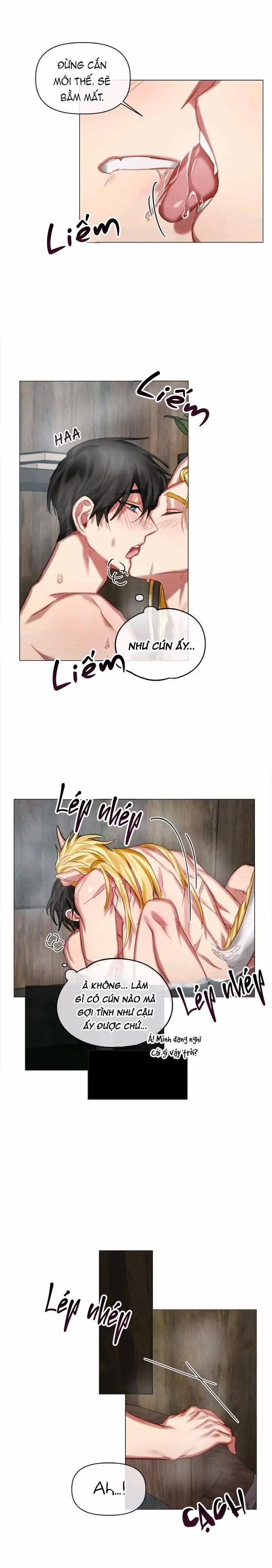 [End] Chàng Hiệp Sĩ Và Rồng Vàng 17 0 17 trang 5