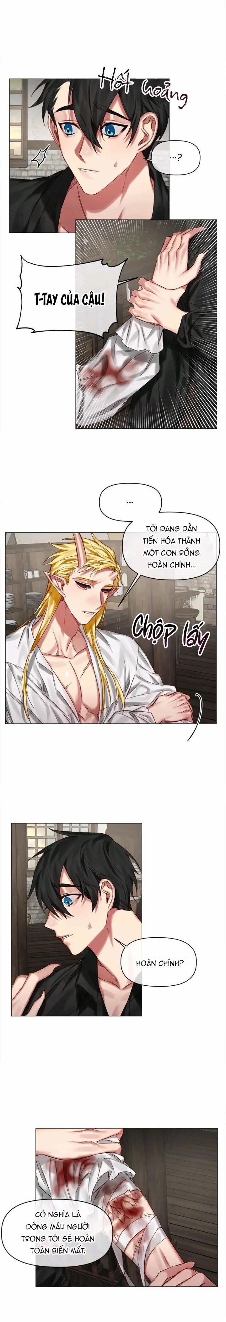 [End] Chàng Hiệp Sĩ Và Rồng Vàng 23 0 23 trang 9