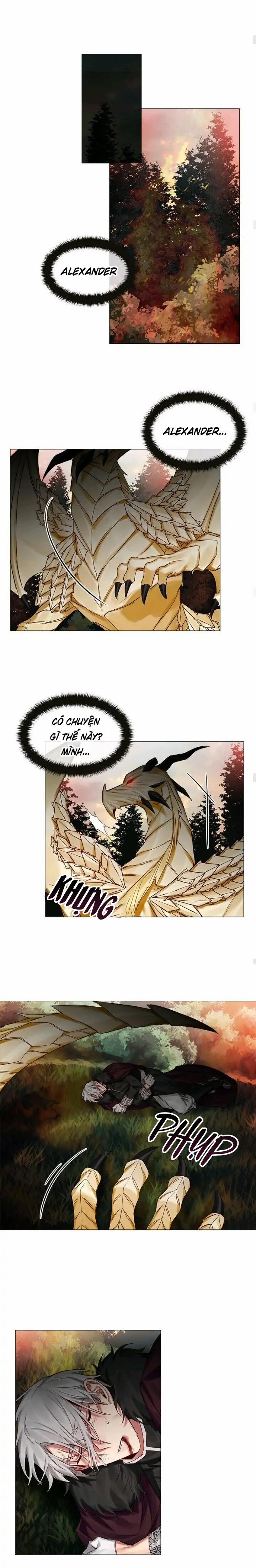 [End] Chàng Hiệp Sĩ Và Rồng Vàng 27 0 27 trang 7
