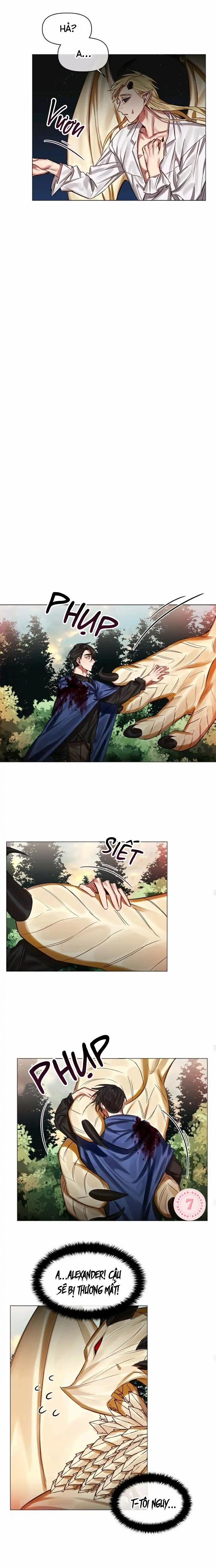 [End] Chàng Hiệp Sĩ Và Rồng Vàng 28 0 28 trang 3