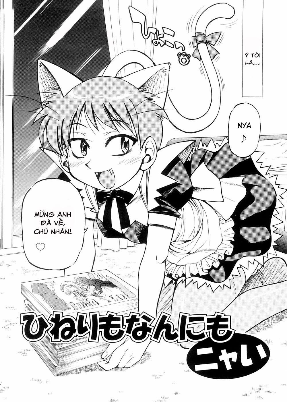 Escape Creator 7 trang 2