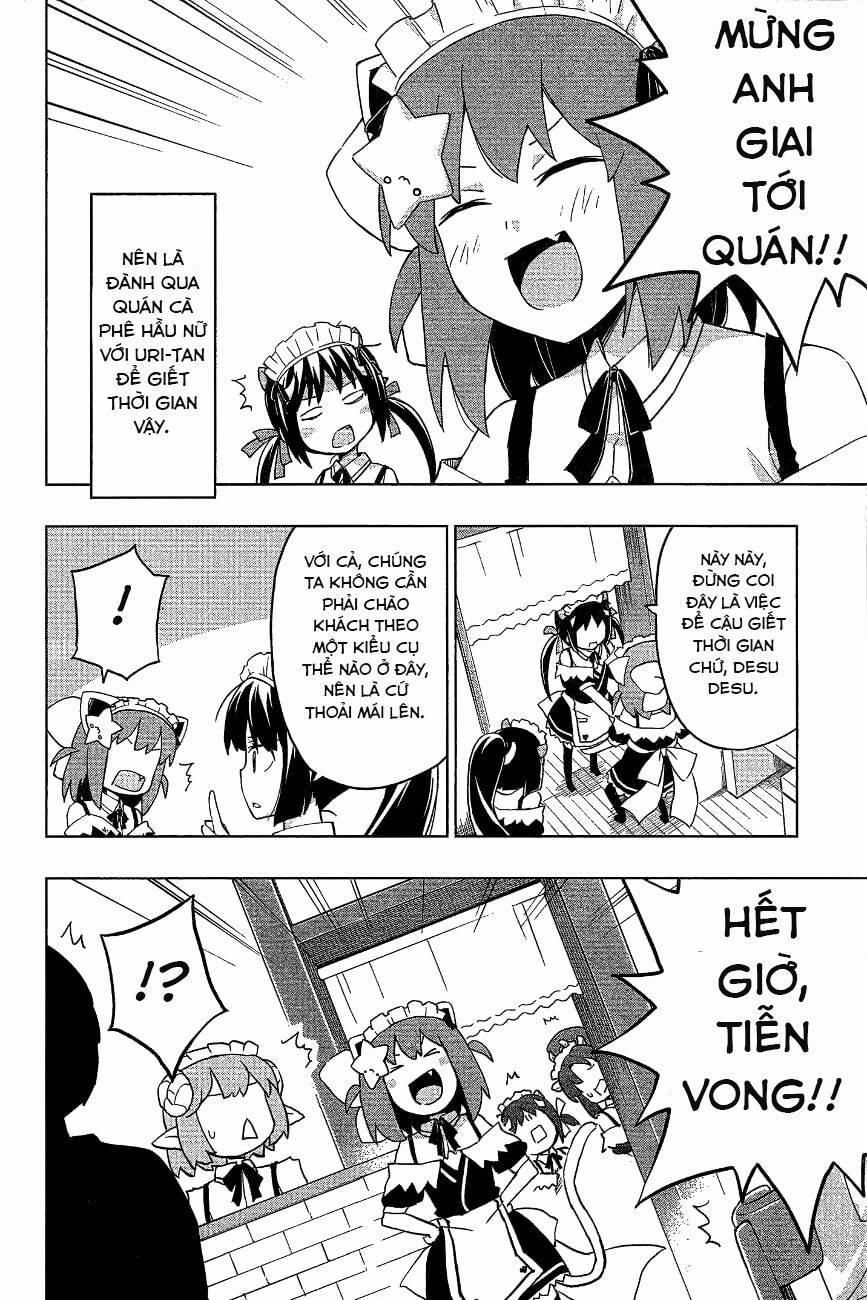 Etotama 19 trang 0
