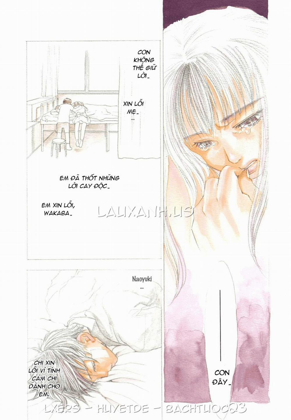 Ever Green Shinsouban 8 trang 3