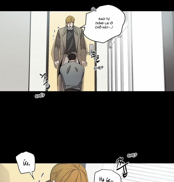 Ever Green 29 trang 23