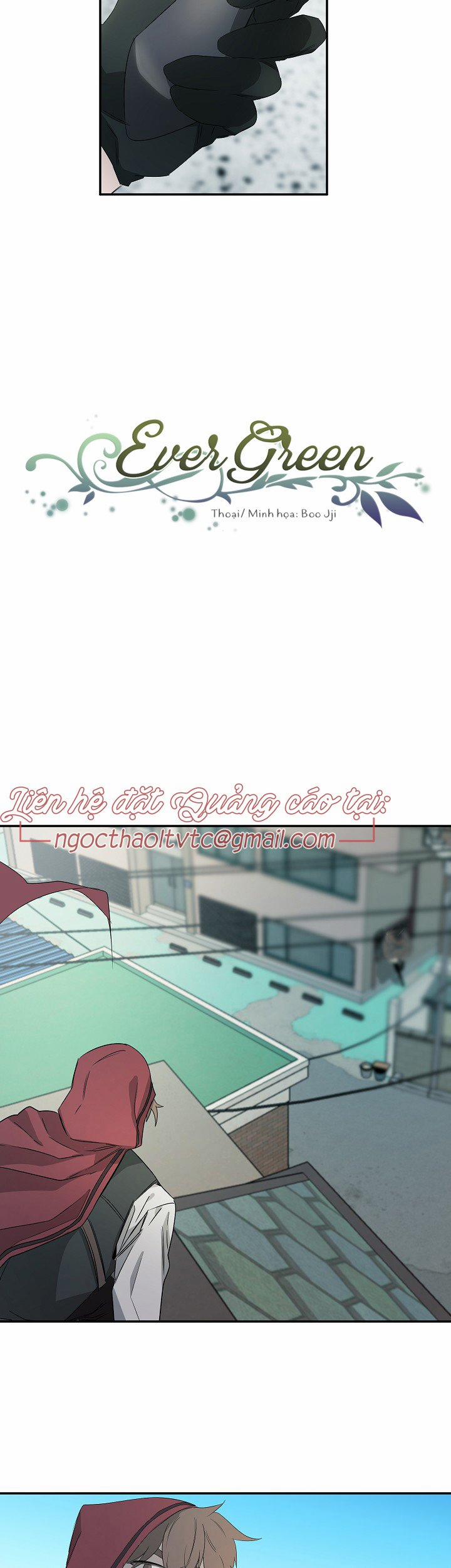 Ever Green 30 trang 3