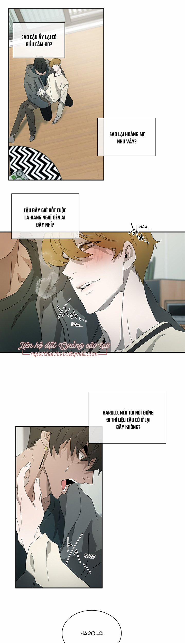 Ever Green 31 trang 13