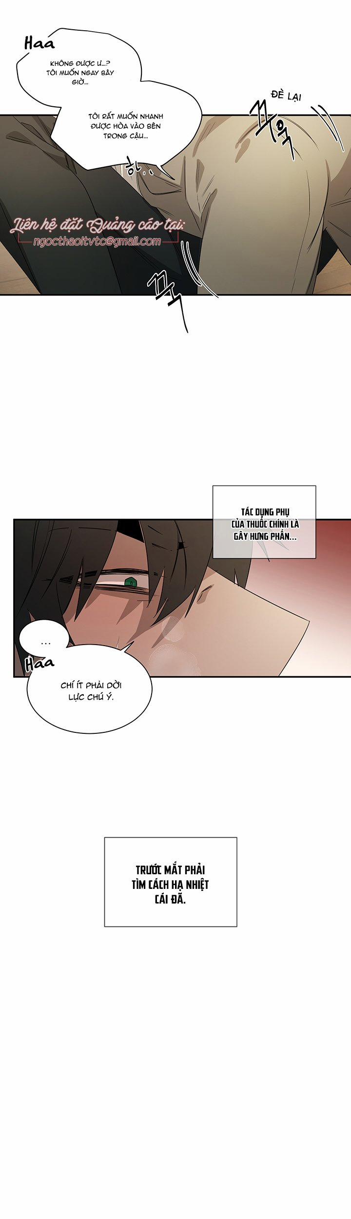 Ever Green 31 trang 17