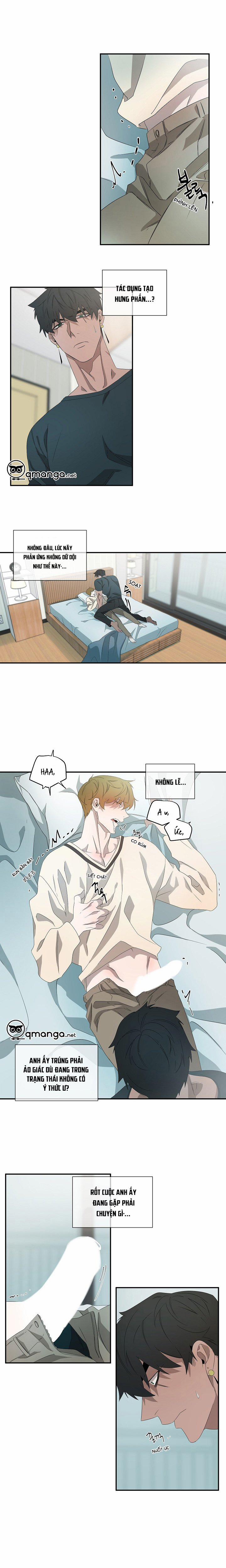 Ever Green 34 trang 5