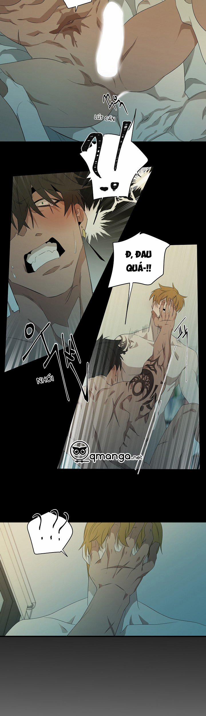 Ever Green 43 0 Phần kết trang 20