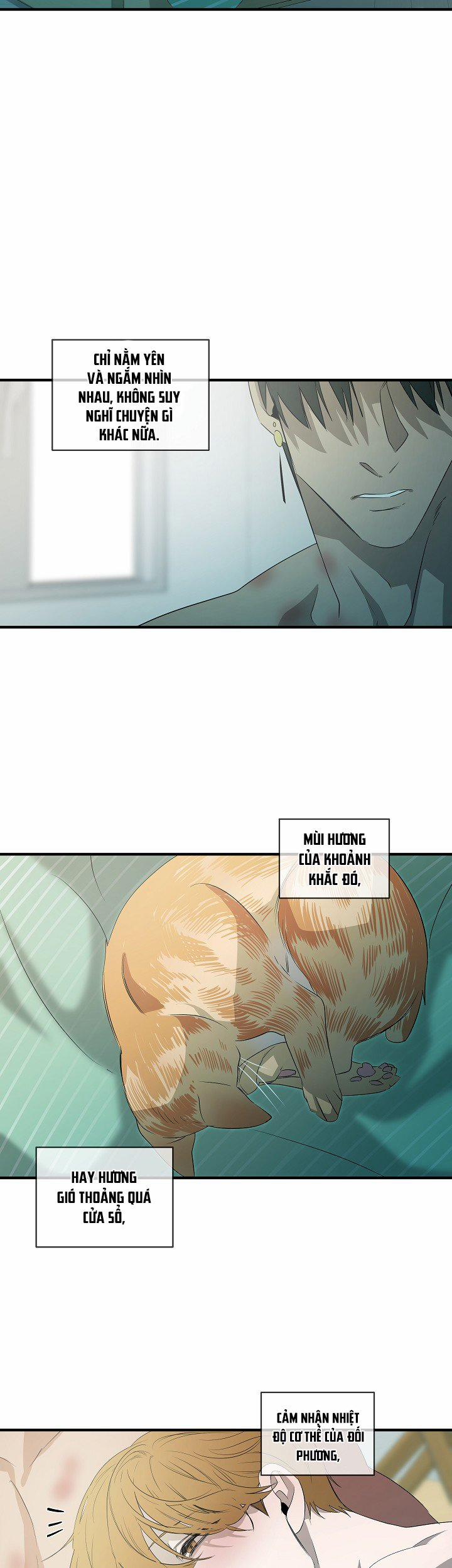 Ever Green 43 0 Phần kết trang 34