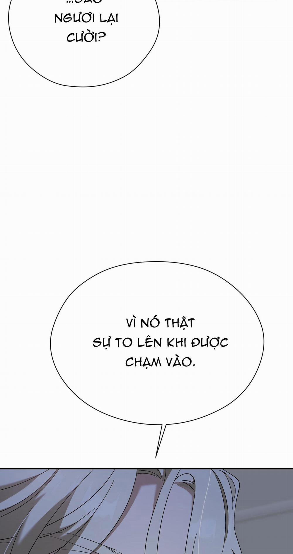 Extra Virgin 3 trang 62