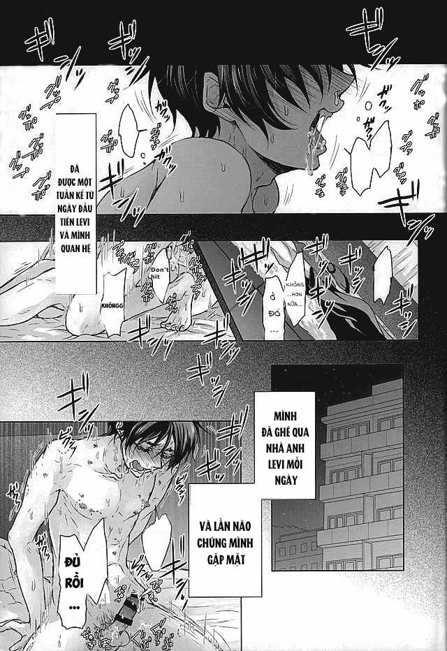 Fanservice 4 trang 1