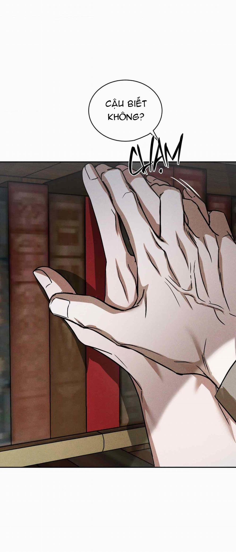 Flashlight 14 H+ full hd trang 28