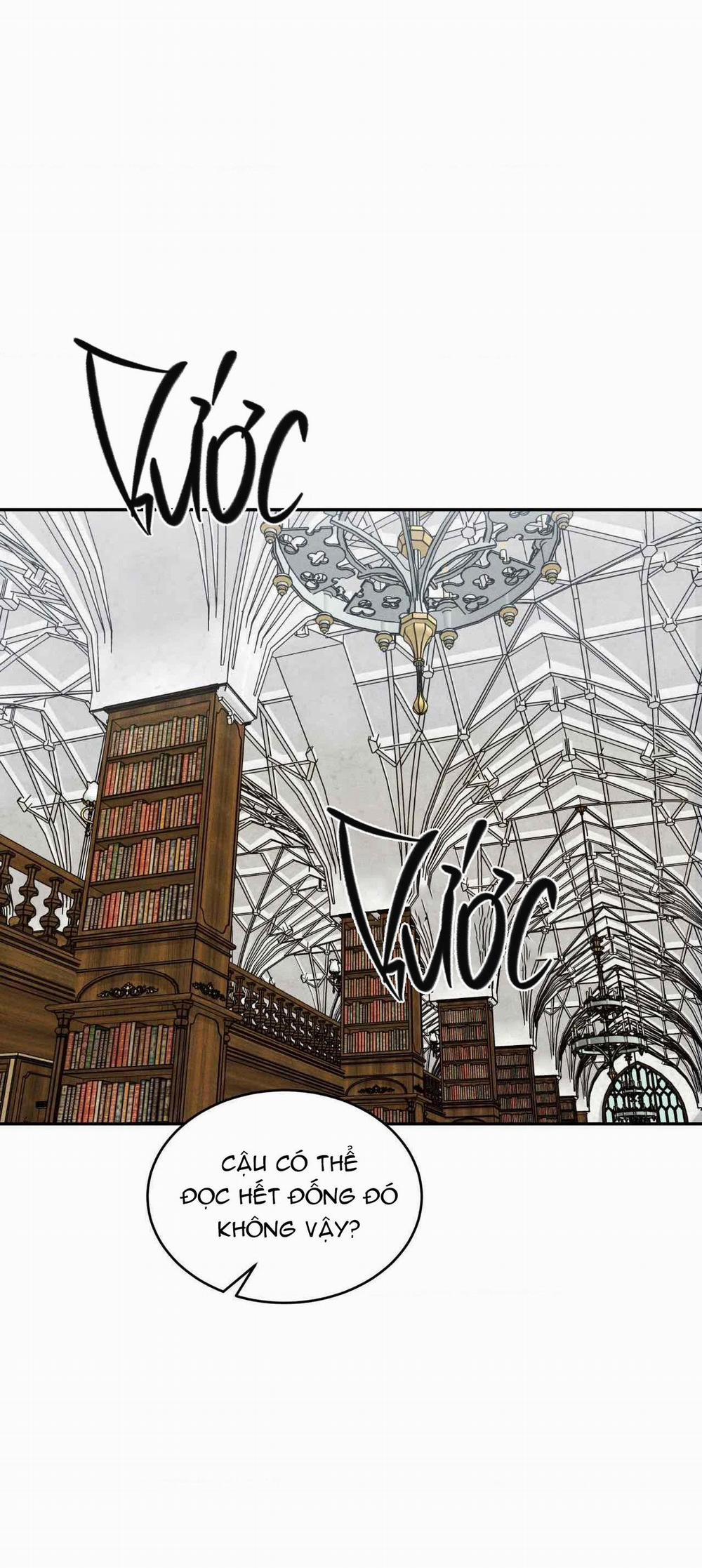 Flashlight 14 trang 2