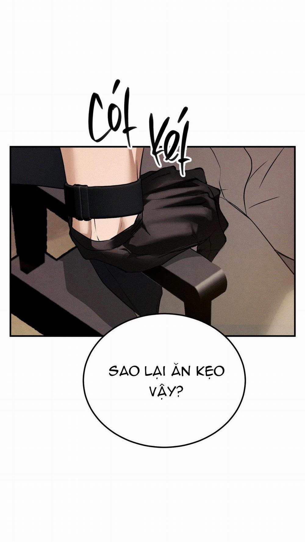 Flashlight 23 trang 15