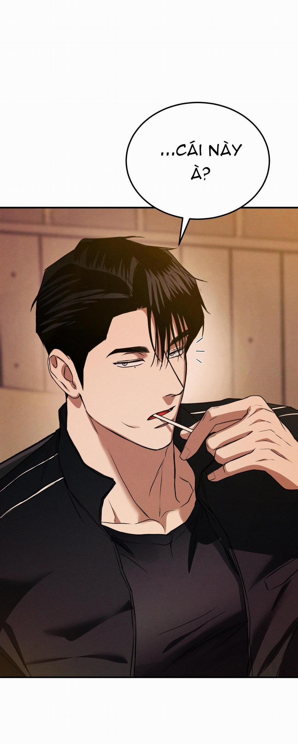 Flashlight 23 trang 17