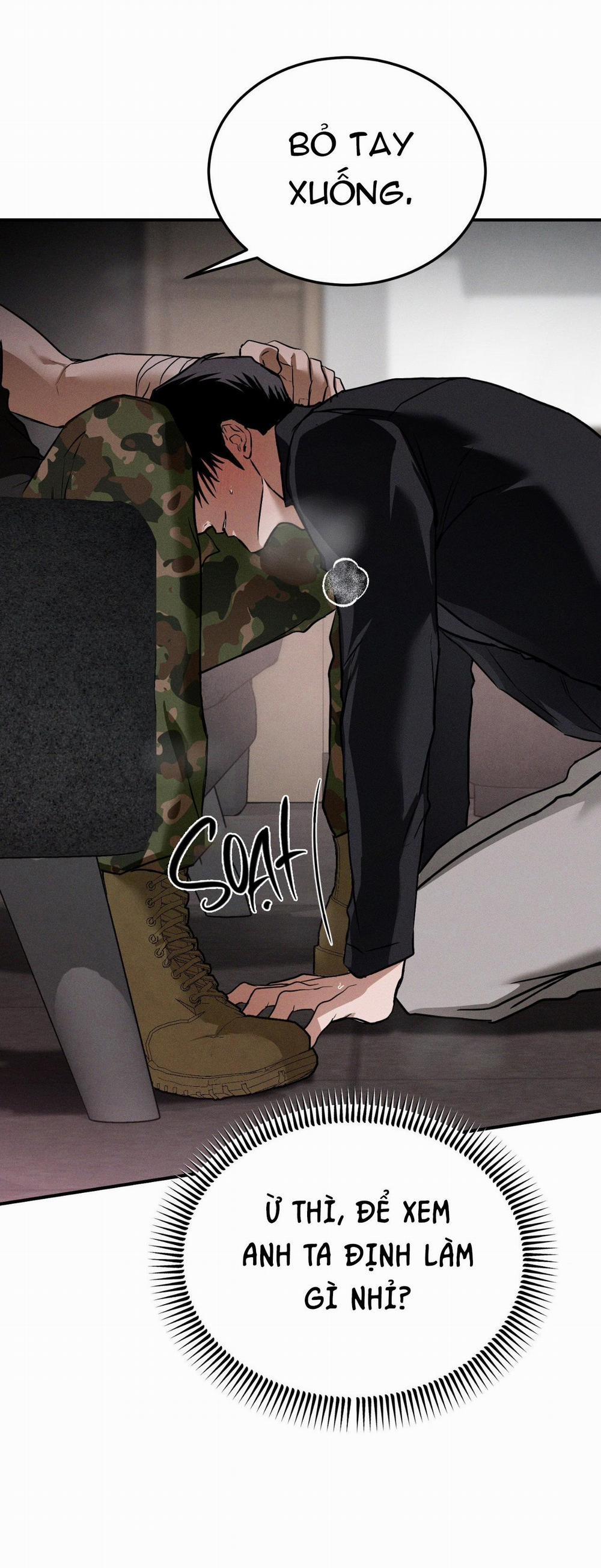 Flashlight 25 trang 13