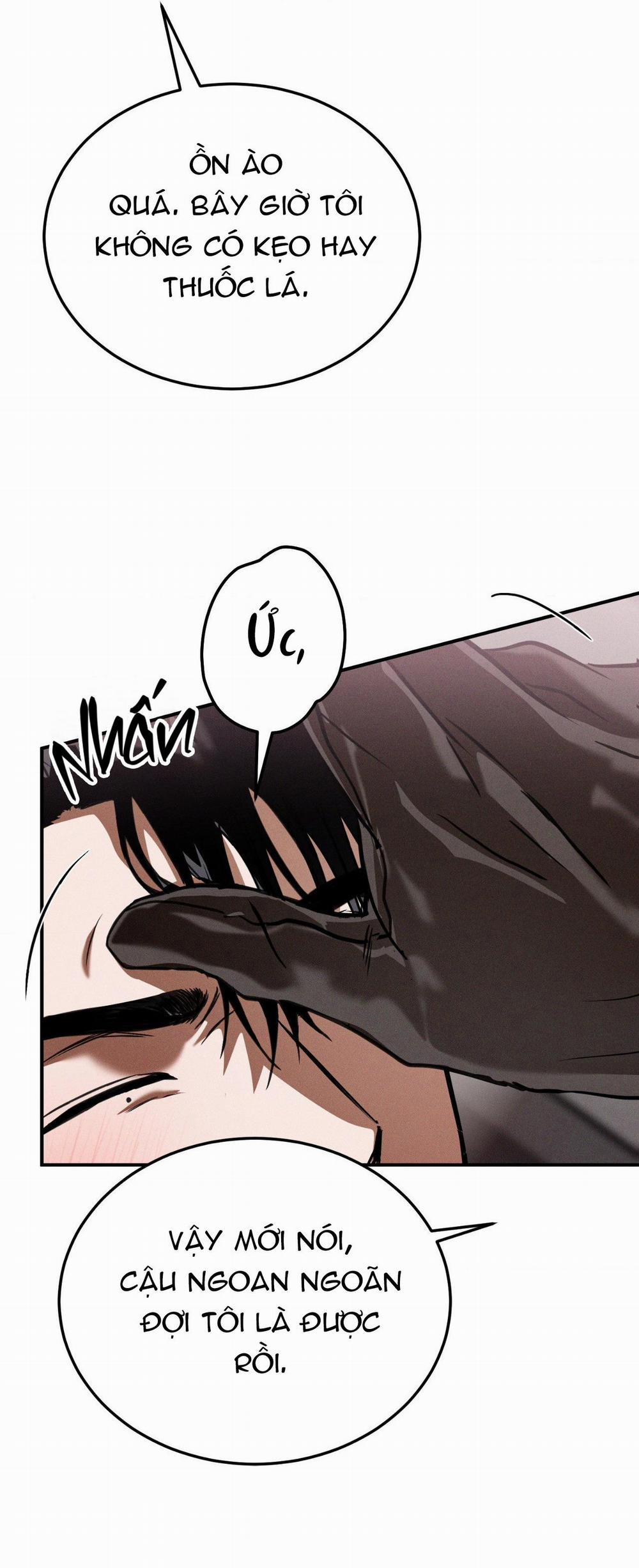 Flashlight 25 trang 5