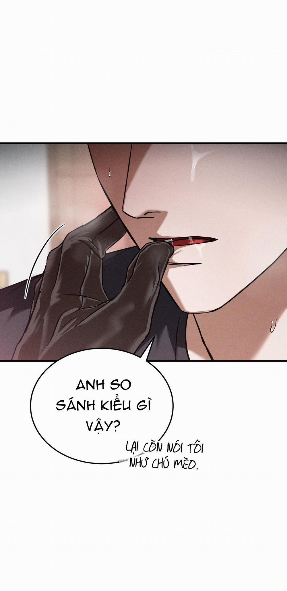 Flashlight 25 trang 50