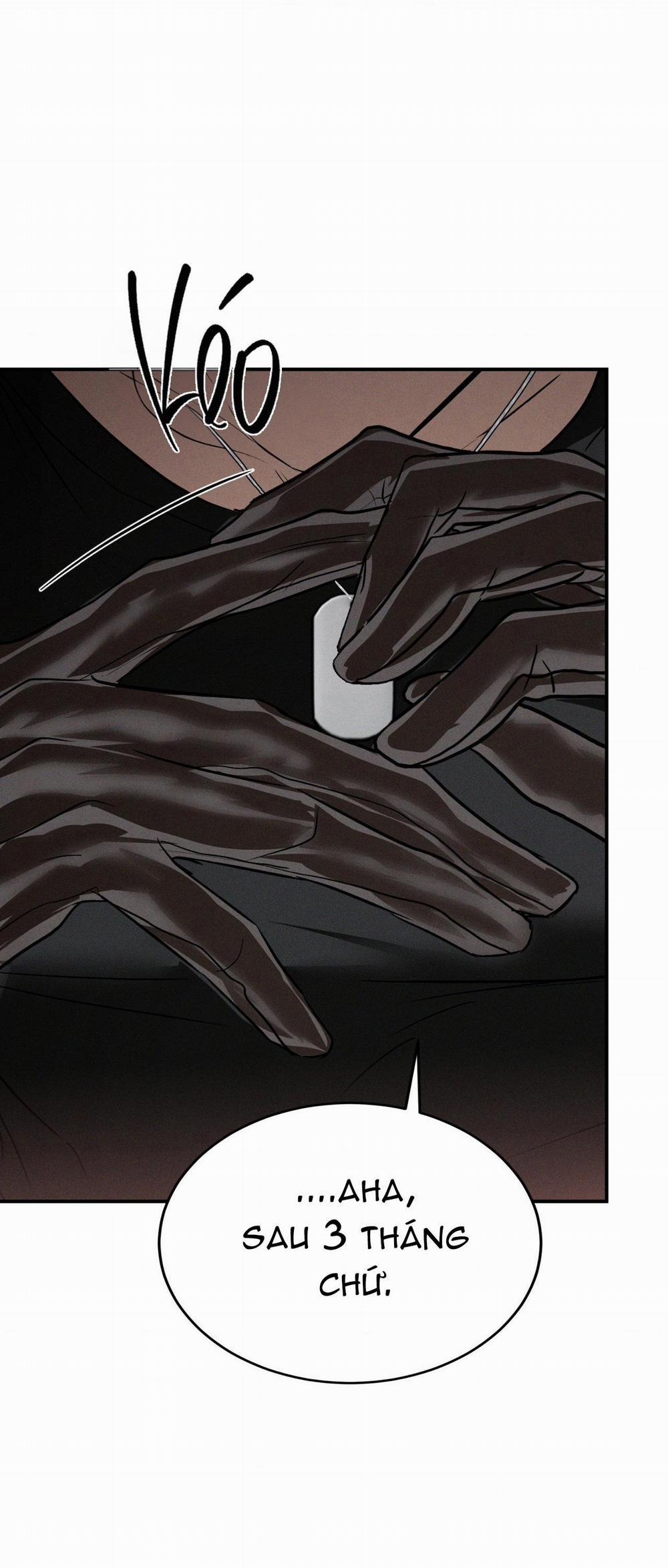 Flashlight 29 trang 15