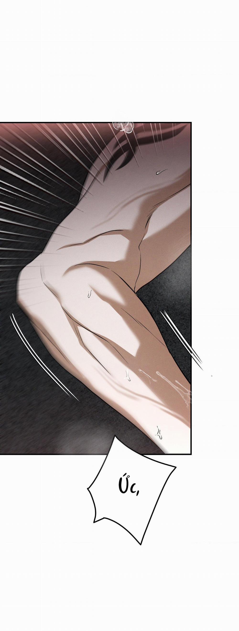 Flashlight 29 trang 21