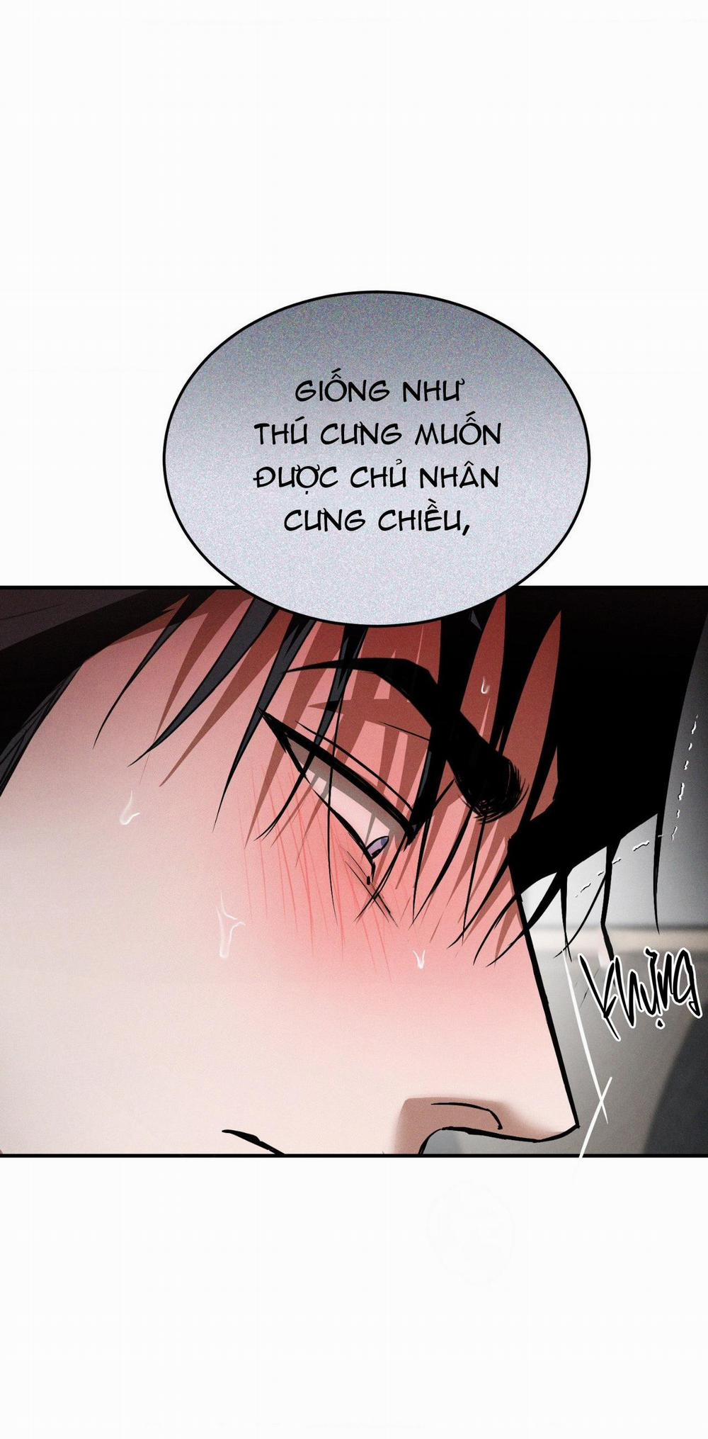 Flashlight 29 trang 46