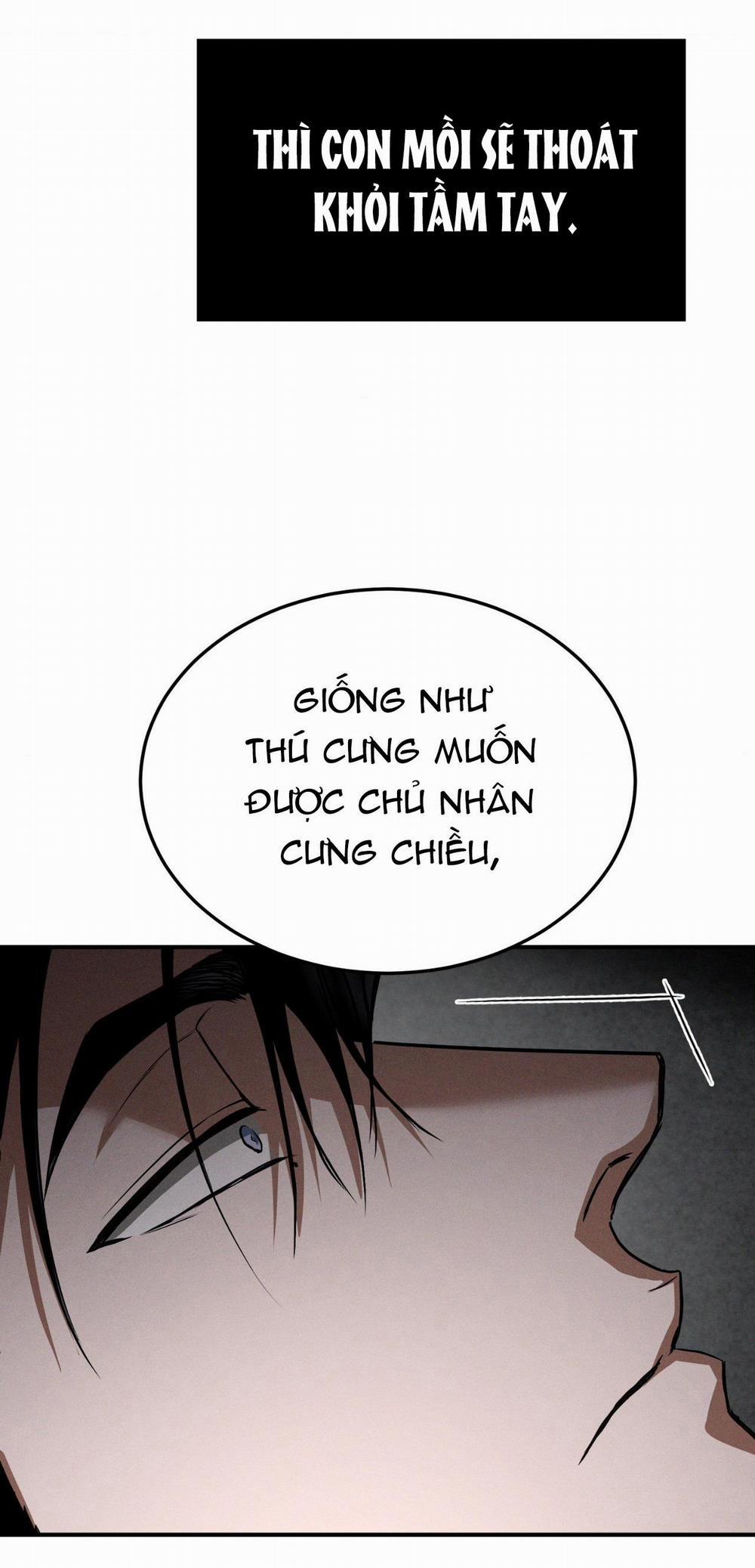 Flashlight 29 trang 9