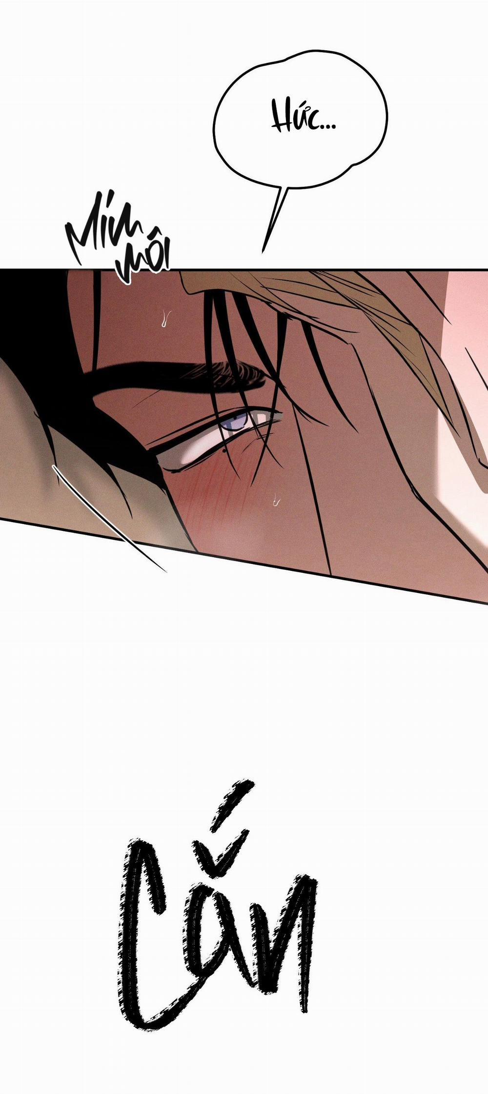 Flashlight 30 trang 36