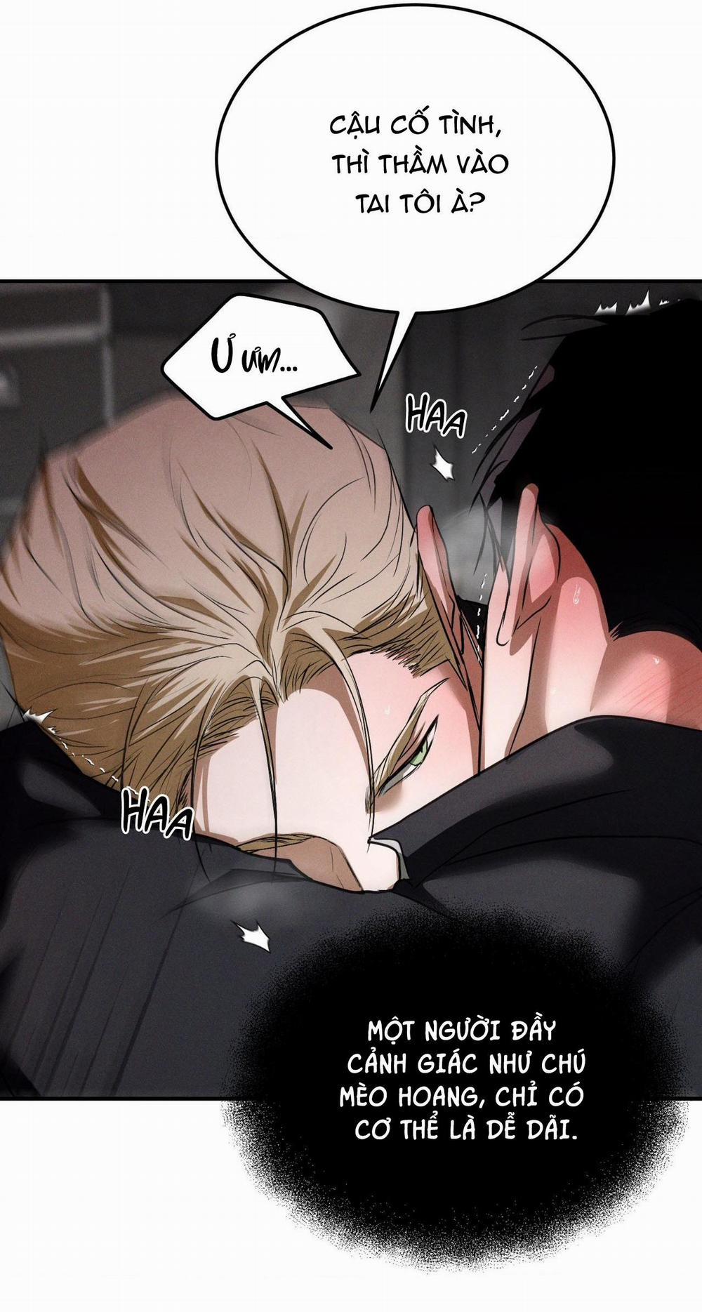 Flashlight 31 H+++ full HD trang 37