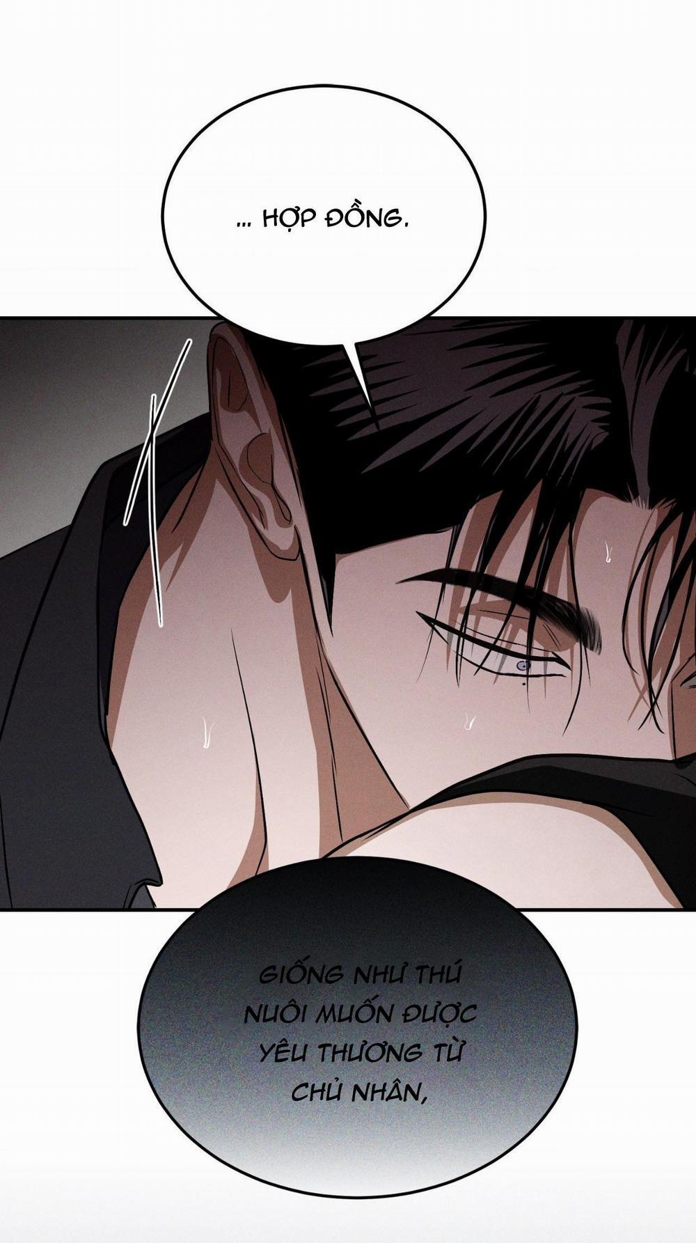 Flashlight 31 H+++ full HD trang 53