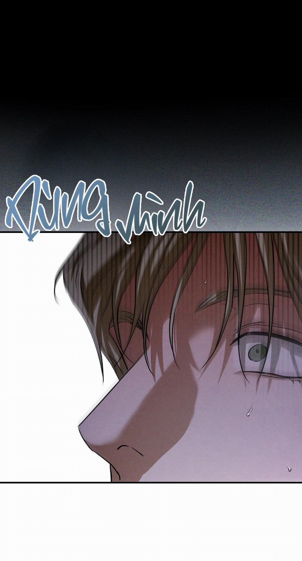 Flashlight 31 trang 31