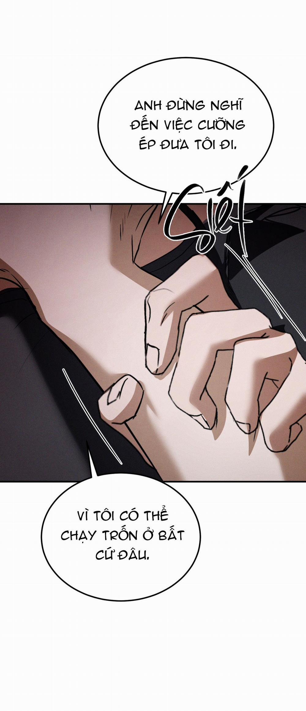 Flashlight 32 trang 11