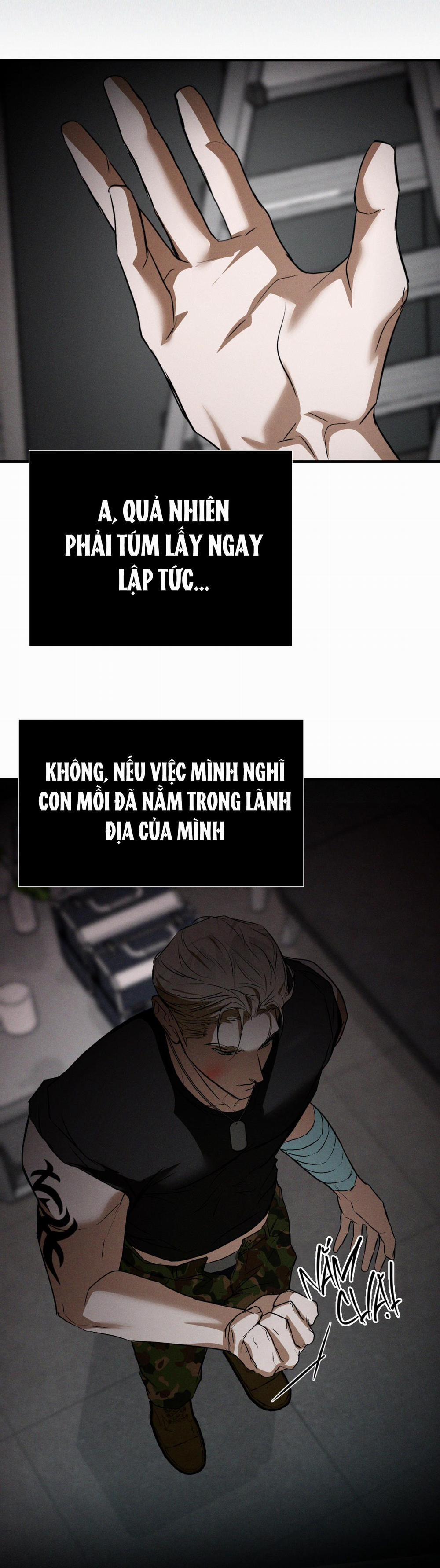 Flashlight 32 trang 17