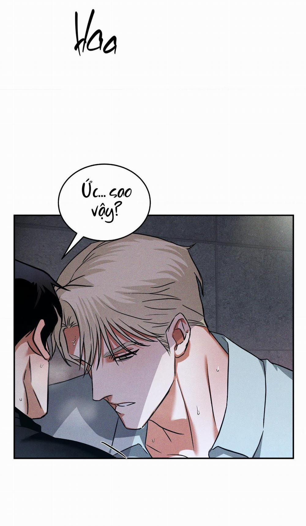 Flashlight 8 H+ full hd trang 8