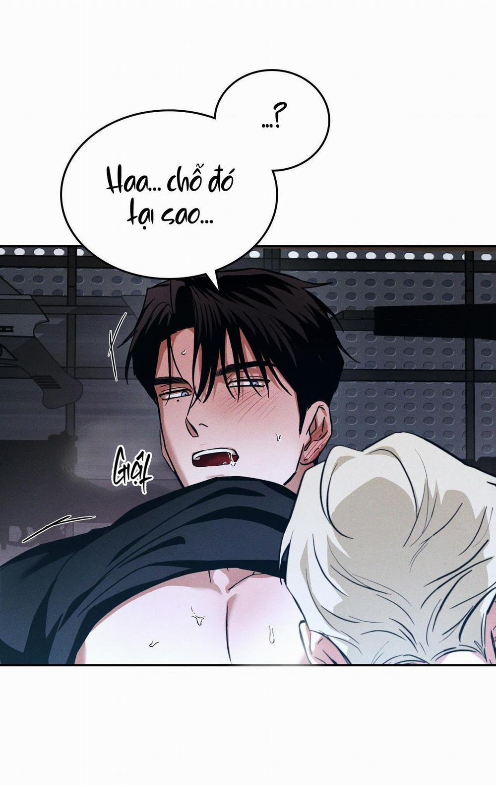 Flashlight 8 trang 11