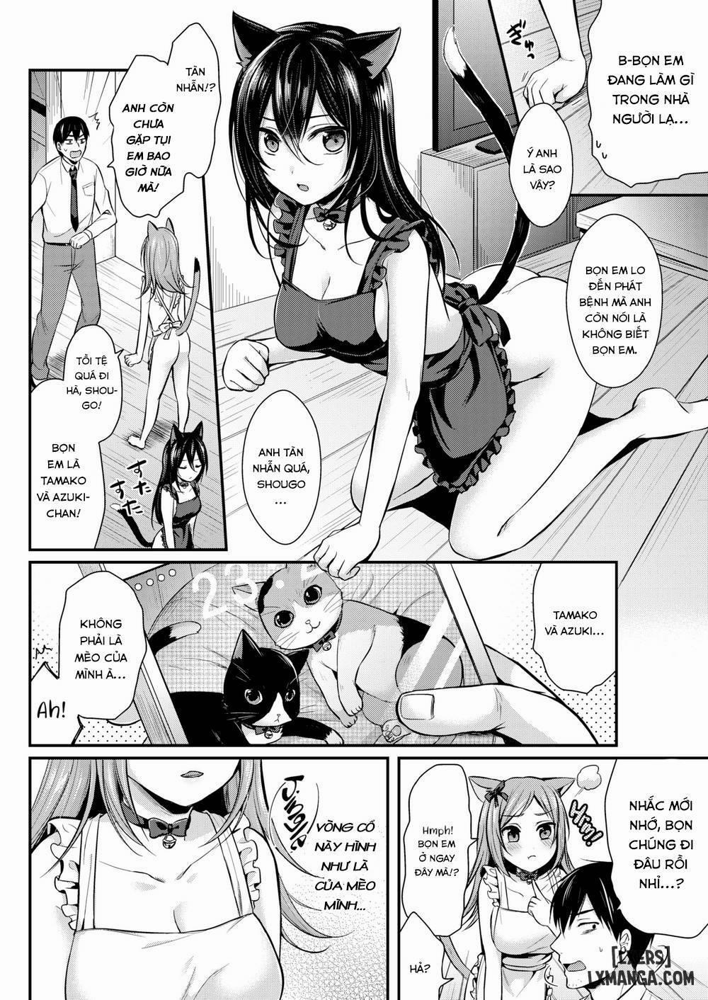 Fluffy Healing Oneshot trang 1