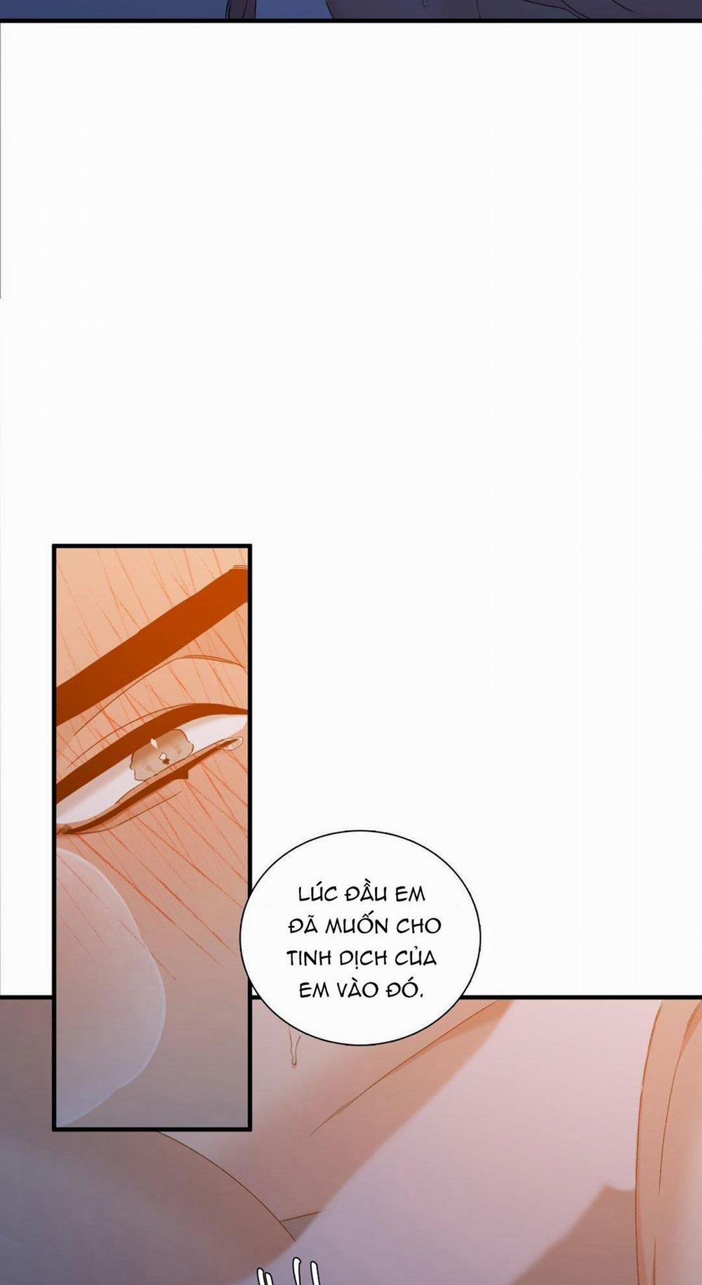 Fouls Start 21 trang 40