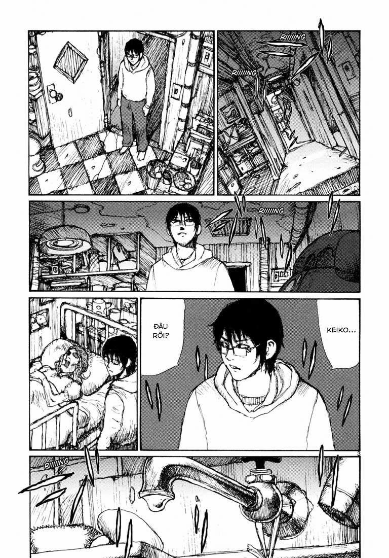 Freesia 0 0 Di chuyển trang 2