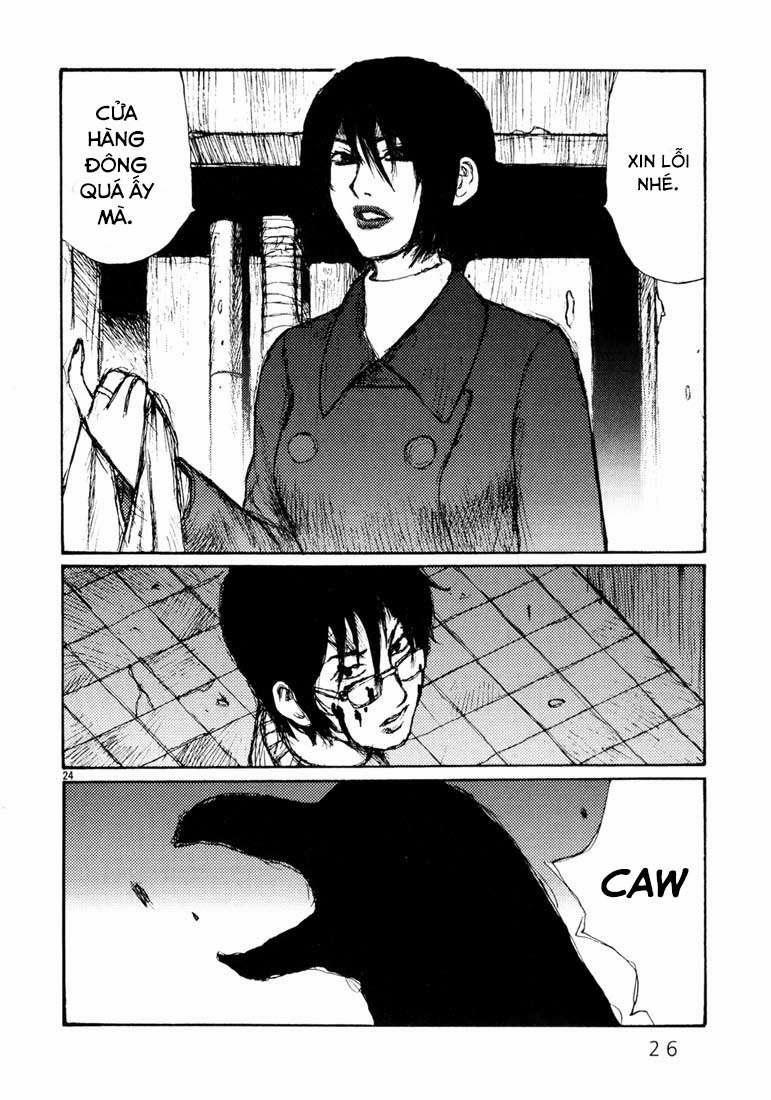 Freesia 0 0 Tìm Việc trang 26