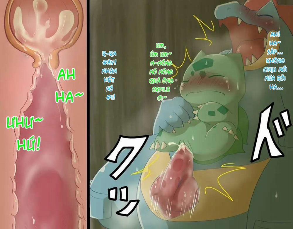 Fushigidane x Ordile Phần 1 trang 13