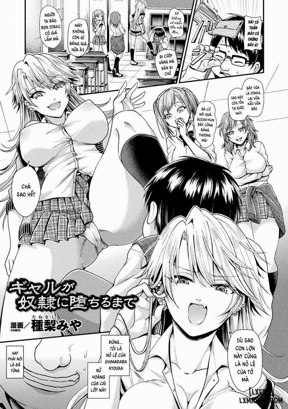 Gal ga Dorei ni Ochiru made Oneshot trang 0