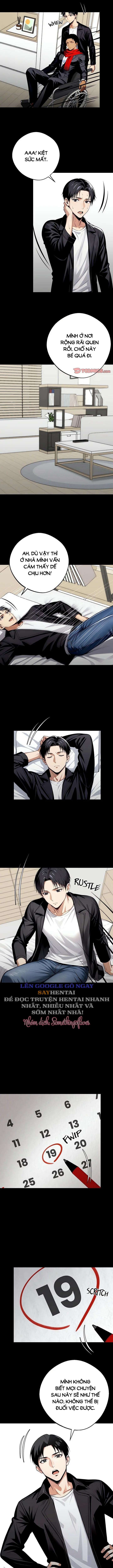 Găng Tơ X Nữ Văn Phòng 31 trang 5