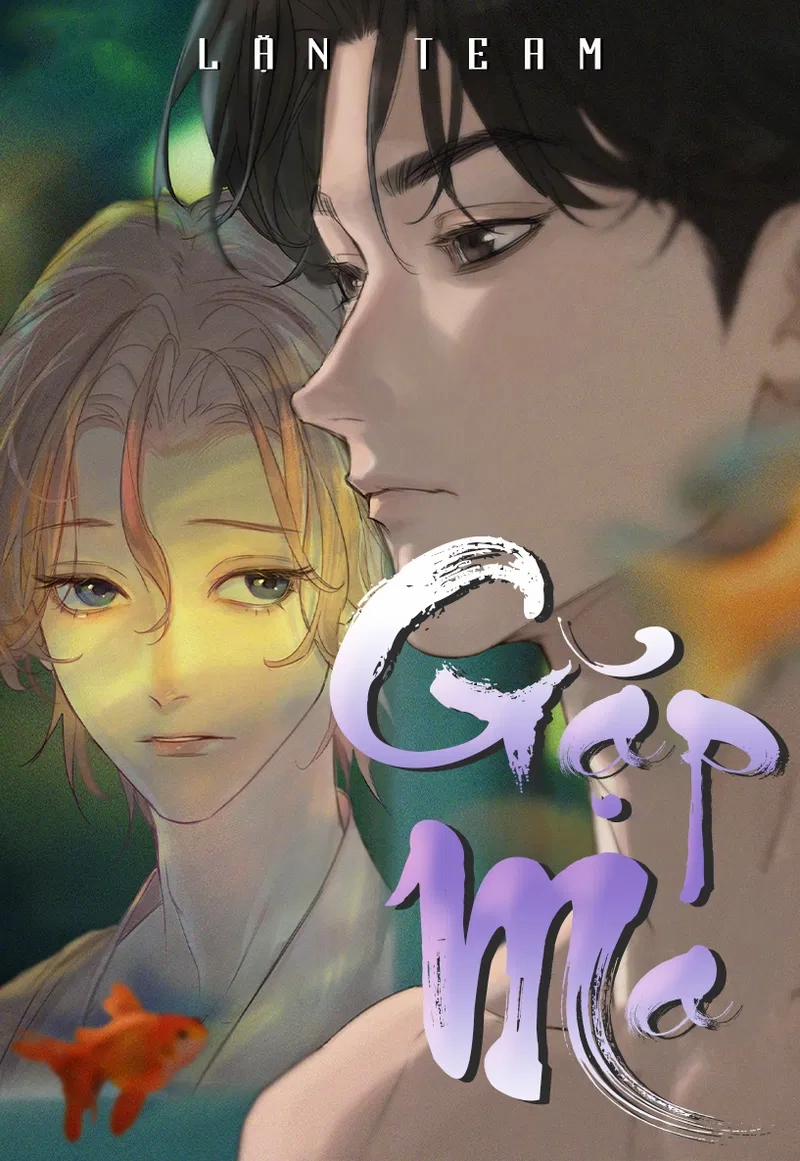 Gặp Ma 11 trang 0