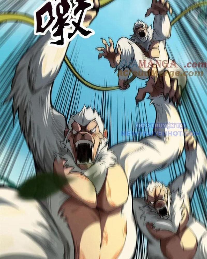 Gặp Mạnh Thì Càng Mạnh, Tu Vi Của Ta Không Giới Hạn 16 trang 67